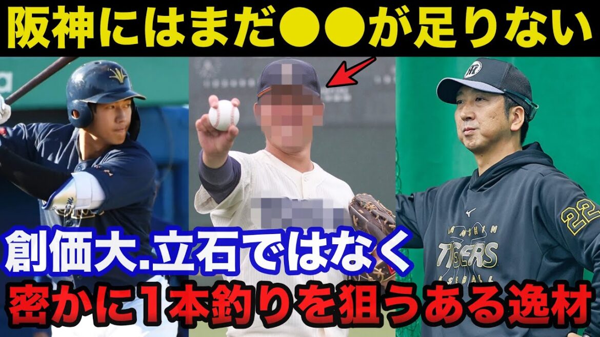 【阪神タイガース2025ドラフト】阪神が創価大.立石正広以外で密かに1本釣りを狙うある逸材【プロ野球】 【阪神タイガース2025ドラフト】阪神が創価大.立石正広以外で密かに1本釣りを狙うある逸材【プロ野球】