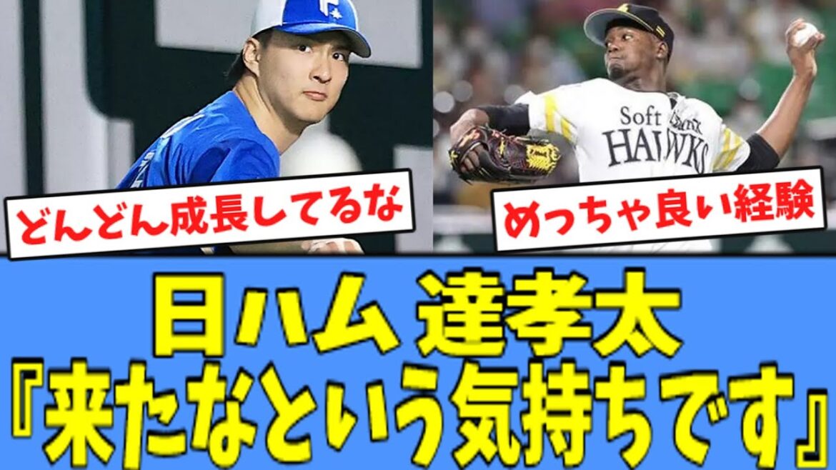 【大一番】日ハム 達孝太、"CS最終戦 先発登板"に向けてコメントを残す！！！