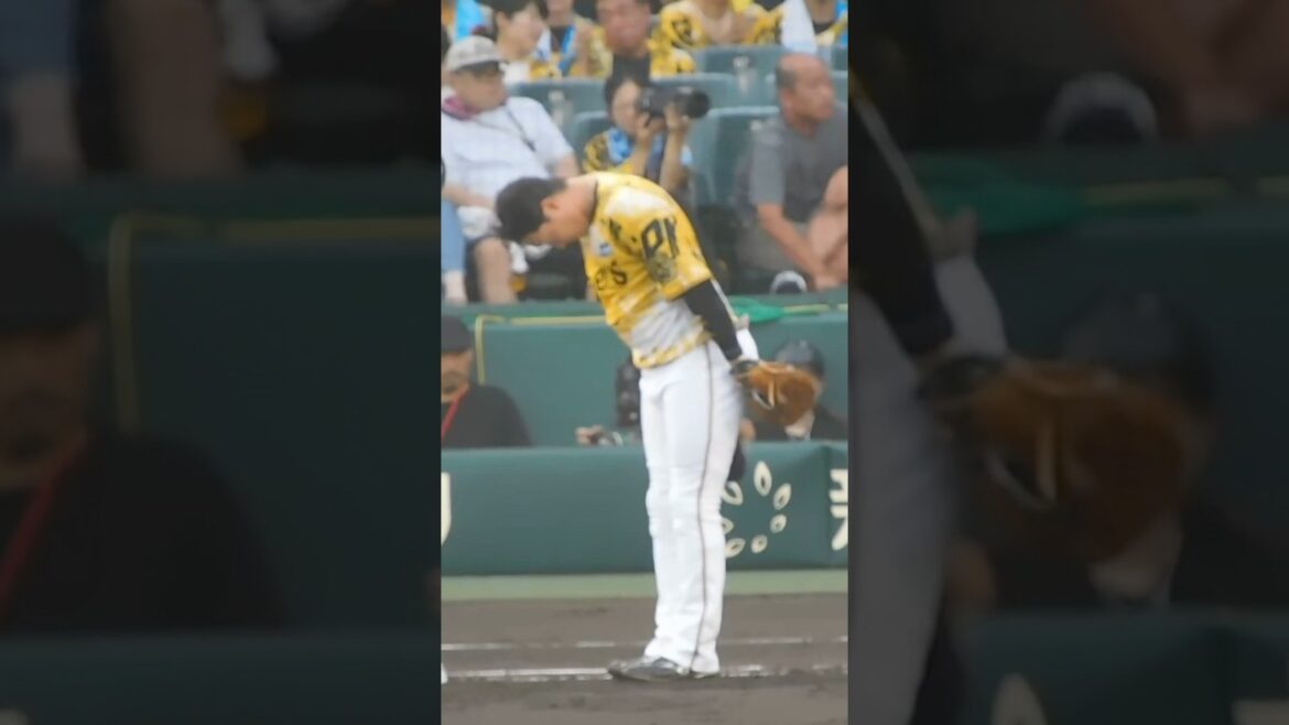 先制タイムリーを放ちファンの歓声に応える大山悠輔 先制タイムリーを放ちファンの歓声に応える大山悠輔