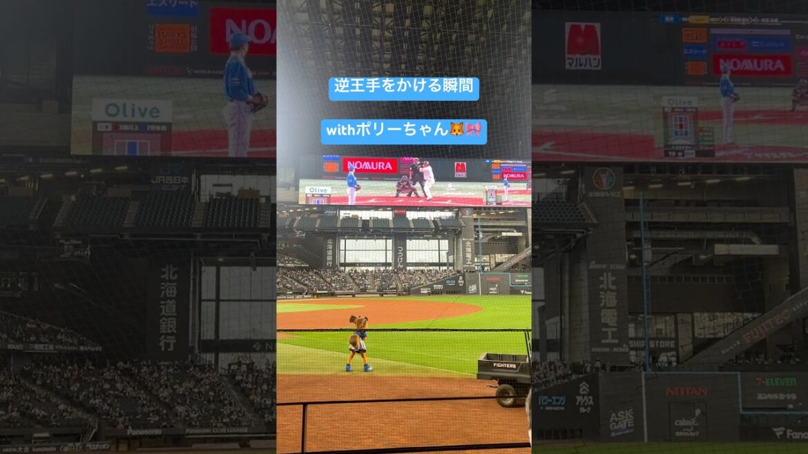 CS逆王手をかける田中正義を見守るポリー🎀🦊日ハム #lovefighters #shorts