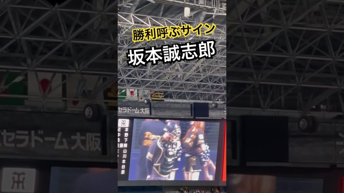 #tigers #坂本誠志郎 #阪神タイガース #hanshintigers  #阪神 #阪神応援  #タイガース  #球場ビジョン#京セラドーム大阪  #猛虎 #hanshin