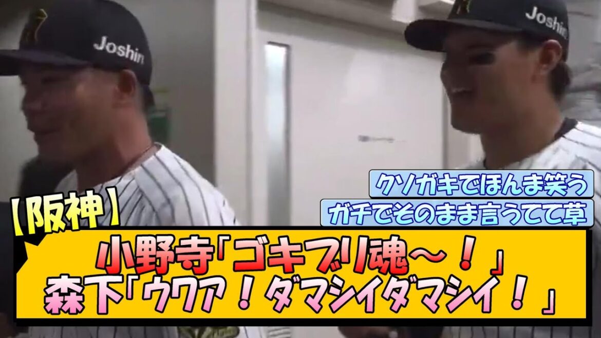 【阪神】小野寺「ゴキブリ魂〜！」森下「ｳﾜｱ！ﾀﾞﾏｼｲﾀﾞﾏｼｲ！」