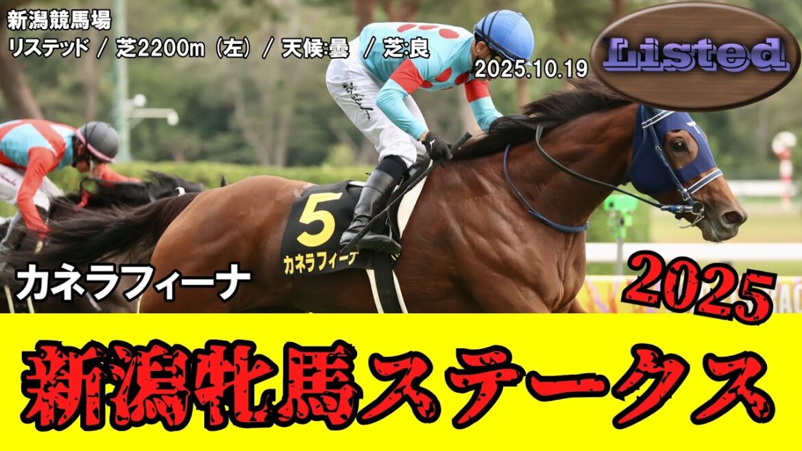 【競馬】 新潟牝馬ステークス / カネラフィーナ 【競馬】 新潟牝馬ステークス / カネラフィーナ