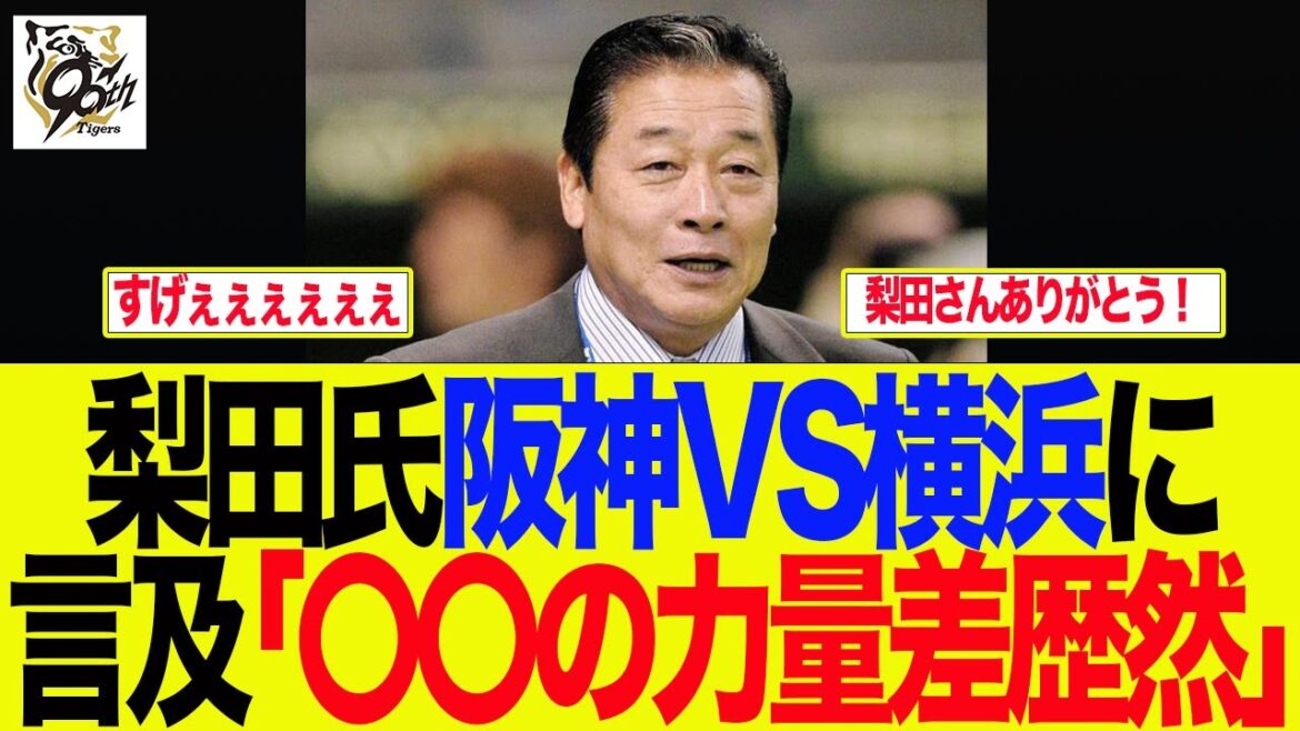 【阪神】梨田氏阪神VS横浜に言及「〇〇の力量差歴然」　 阪神ファンの反応集