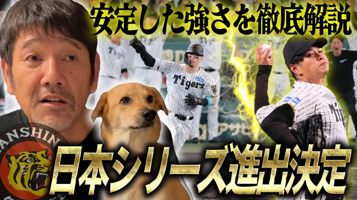 【CS突破】髙橋遥人が8回ノーヒットノーラン&佐藤輝明の3ランHRで見事3連勝‼︎阪神日本シリーズ進出決定で日本一奪還へ‼︎ 【CS突破】髙橋遥人が8回ノーヒットノーラン&佐藤輝明の3ランHRで見事3連勝‼︎阪神日本シリーズ進出決定で日本一奪還へ‼︎