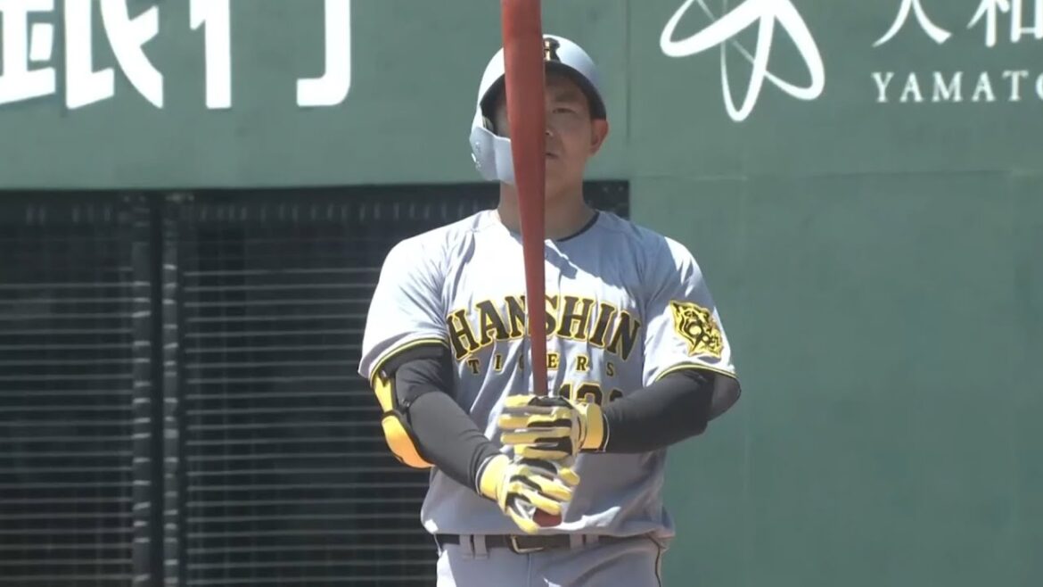 【2025ファーム】嶋村麟士朗 ヒット集【阪神タイガース】