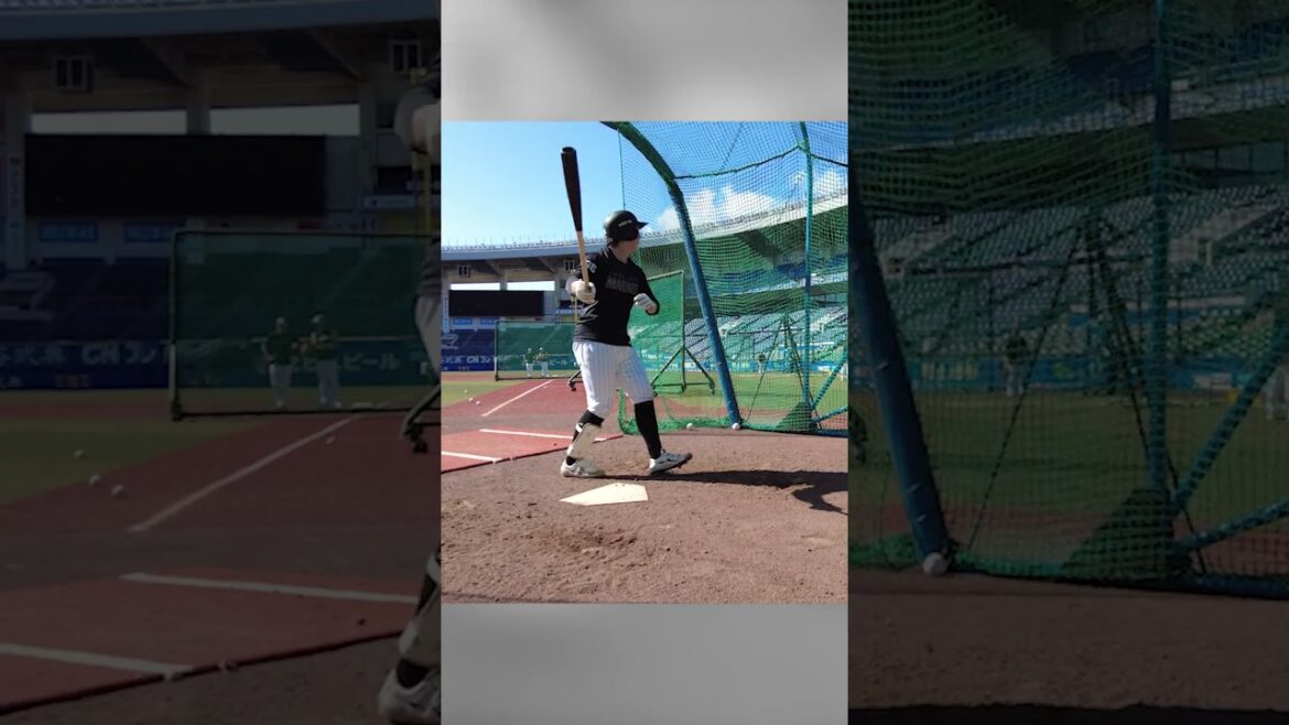 このスイングでスタンドイン！？#chibalotte #寺地隆成