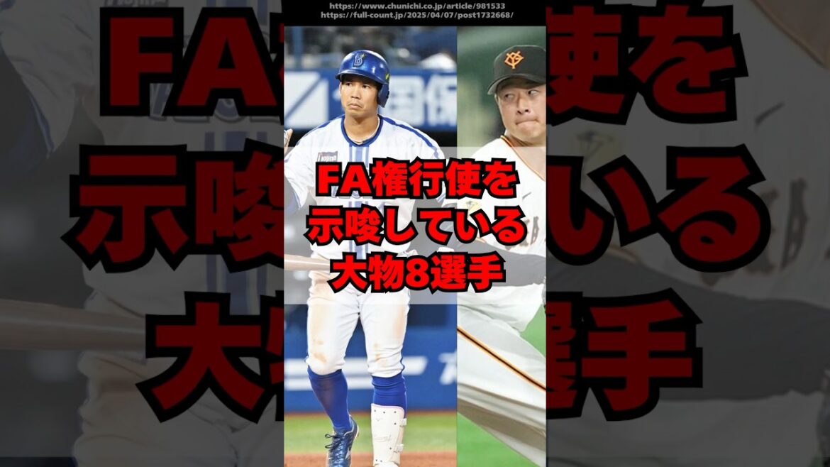 FA権行使を示唆している大物プロ野球選手８人
