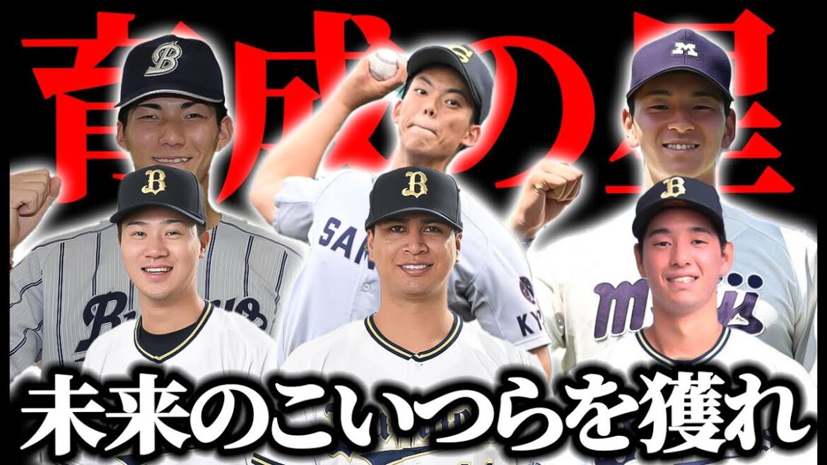 【育成は大豊作】育成で取れたら激アツな候補を大公開！今年のドラフトでも差をつけるも育成指名計画を徹底考察【オリックスバファローズ】