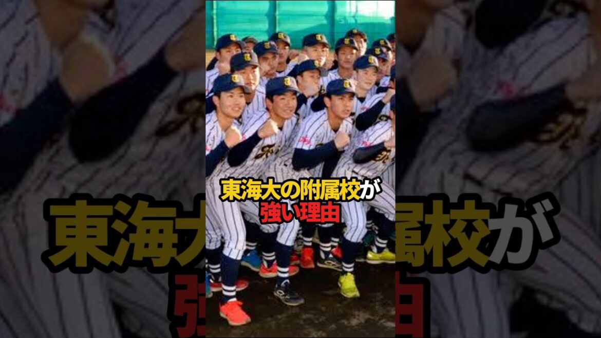 東海大の附属校が強い理由 #sports #shorts #高校野球 #野球 #甲子園 #やきゅスト