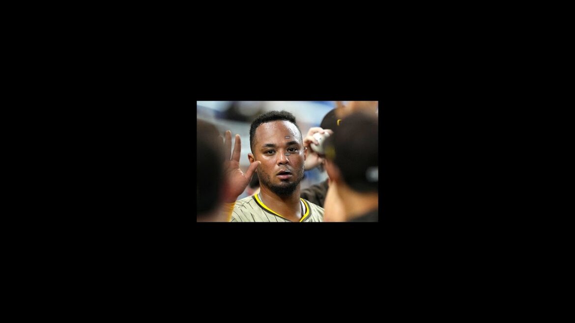 大谷翔平の元相棒マルドナードが現役引退！15年のメジャー生活に幕