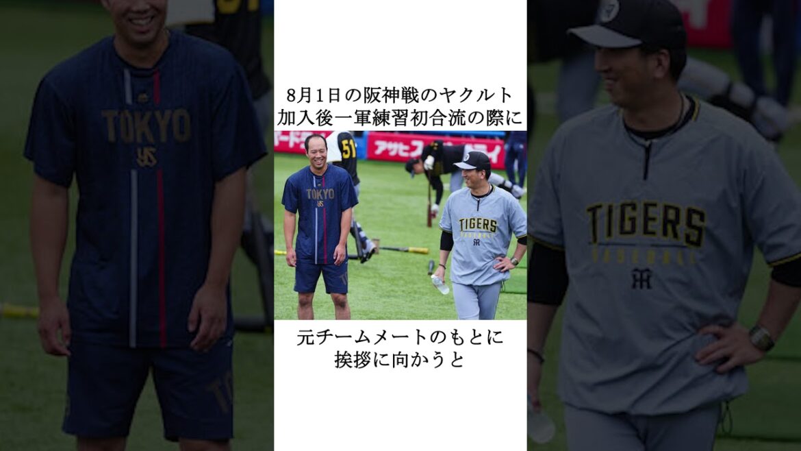 雨に好かれた投手”青柳晃洋”に関する雑学 雨に好かれた投手"青柳晃洋"に関する雑学