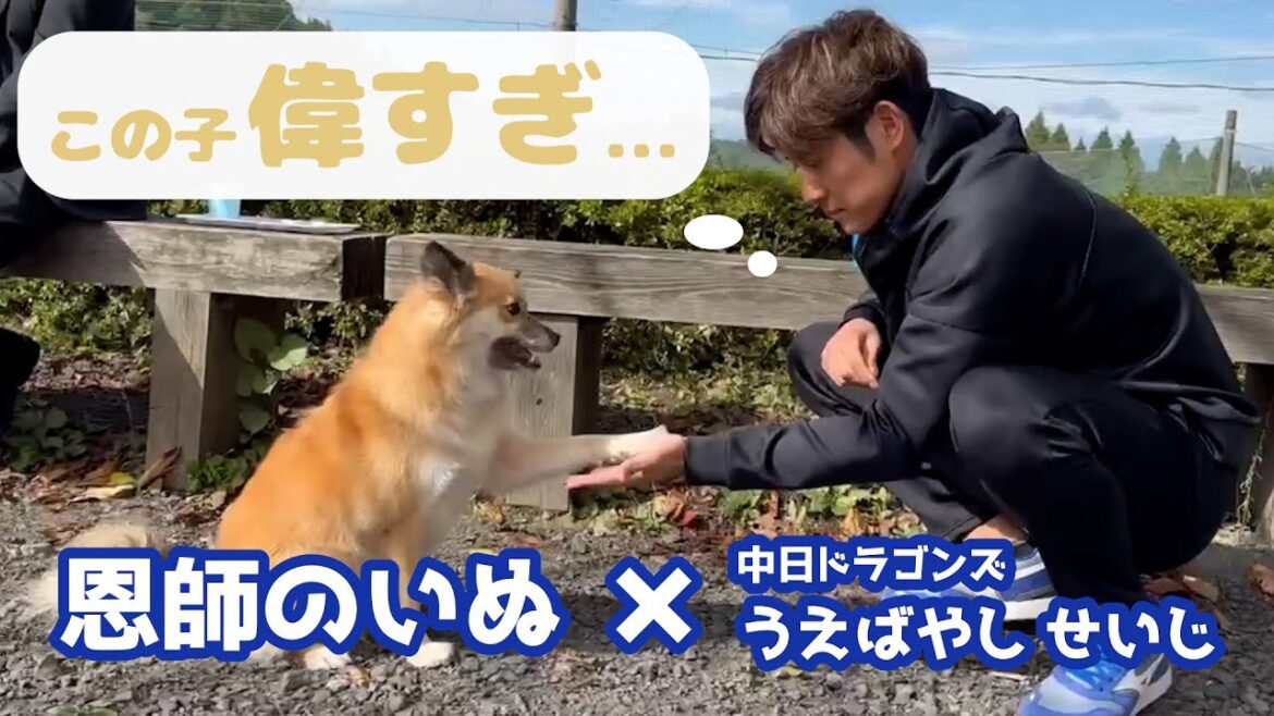 「この子、偉すぎ！」中日ドラゴンズ上林誠知選手が恩師の愛犬と触れ合う