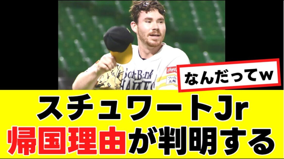 【スチュワートJr.】まさかの帰国理由が判明するwww『反応集』