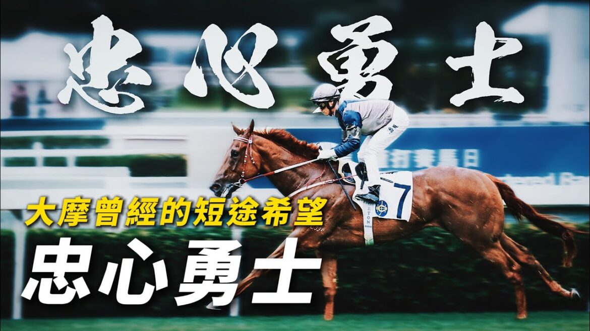 潘頓讚唯一媲美嘉應高昇的短途賽駒!約翰摩亞曾經的短途希望|忠心勇士|兩歲插三班排14檔都照贏|三歲擊敗旺蝦王、爭分奪秒奪馬會短途錦標|兩度流鼻血強制退役|#賽馬物語 潘頓讚唯一媲美嘉應高昇的短途賽駒!約翰摩亞曾經的短途希望|忠心勇士|兩歲插三班排14檔都照贏|三歲擊敗旺蝦王、爭分奪秒奪馬會短途錦標|兩度流鼻血強制退役|#賽馬物語