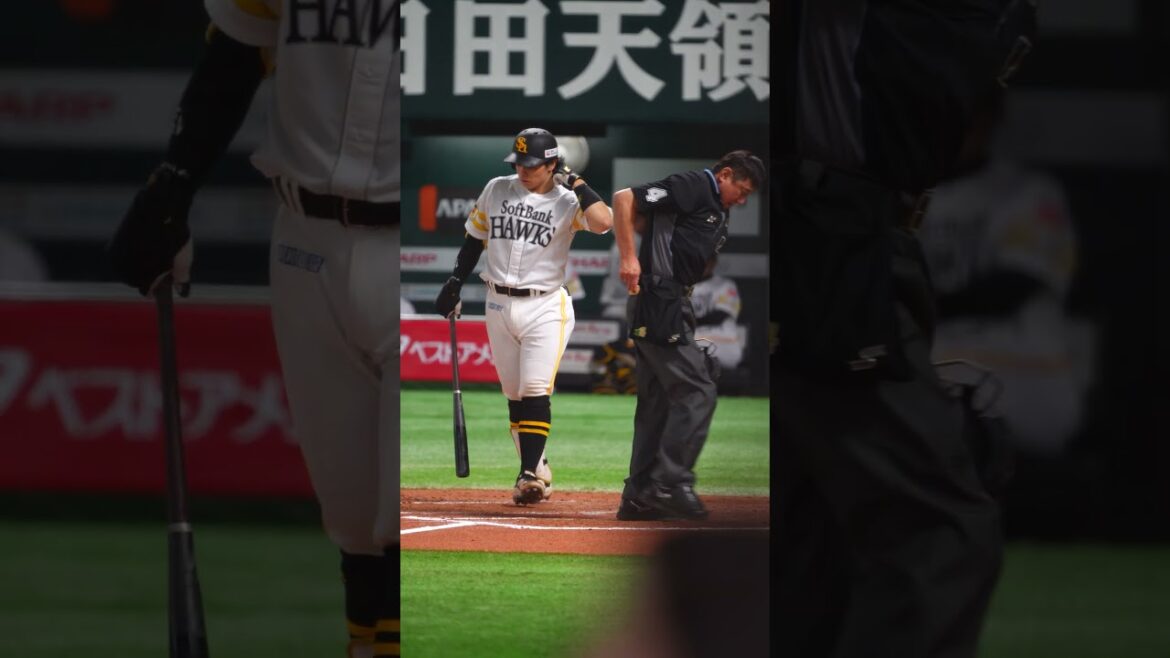 Sh #45 谷川原健太▶︎登場曲『笑顔／いきものがかり』 ▶︎福岡ソフトバンクホークス #shorts