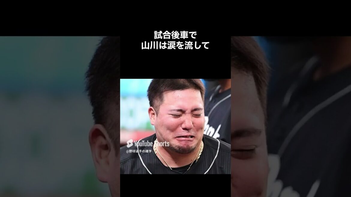 【怖すぎるてwww】深夜のバケモノ山川穂高　#shorts #野球 #野球雑学 #雑学 #プロ野球 #メジャーリーグ