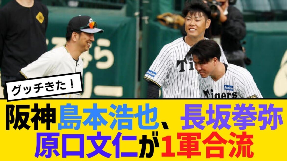 阪神・島本浩也、長坂拳弥、原口文仁が1軍合流！【野球】【反応】【考察】
