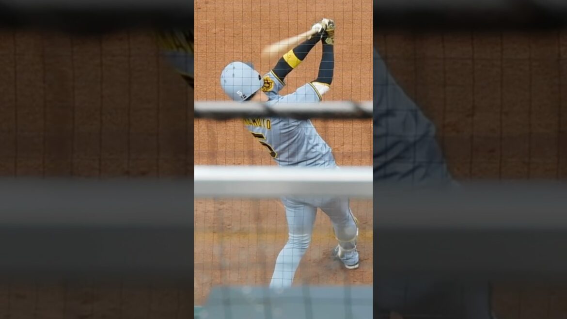 【相手のイベントなんのその】1人黙々と試合に向けて素振りを行う近本光司 【相手のイベントなんのその】1人黙々と試合に向けて素振りを行う近本光司