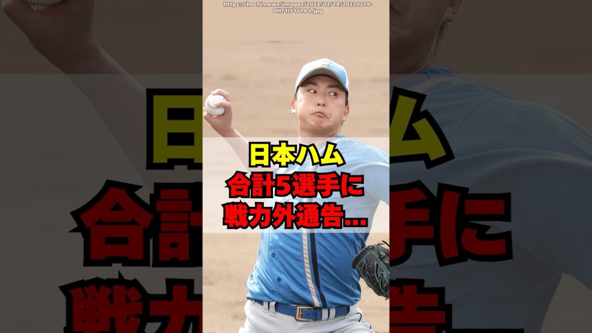 【日本ハム】合計５選手に戦力外通告・・・