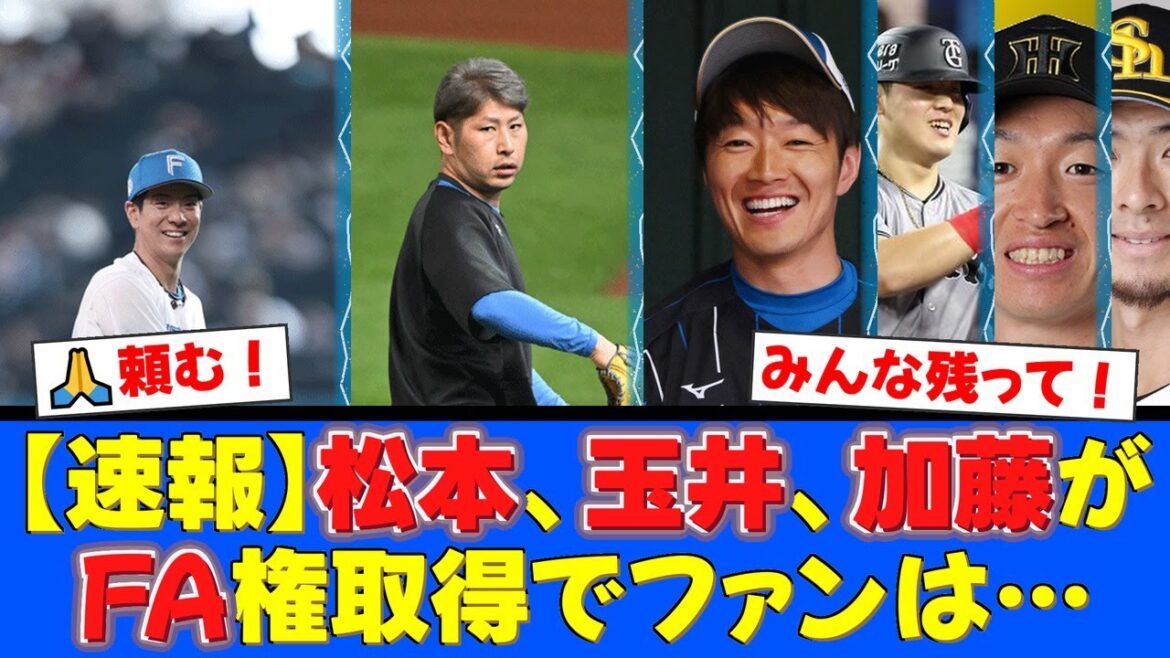 【FA権取得】ファイターズ主力、松本剛・玉井大翔・加藤貴之の動向にファン注目！感謝と残留を願う声が殺到する中、選手たちの決断を温かく見守るファンの反応【プロ野球ファンの反応】