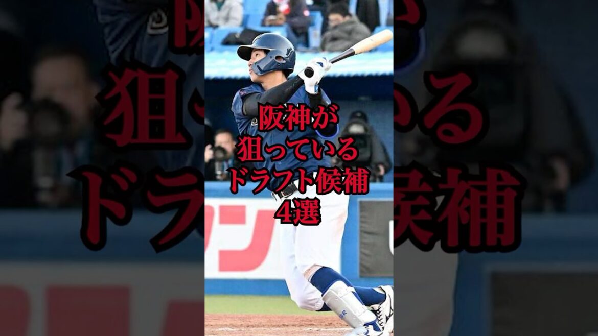 阪神が狙っているドラフト候補4選　#プロ野球 #ドラフト2025  #阪神タイガース