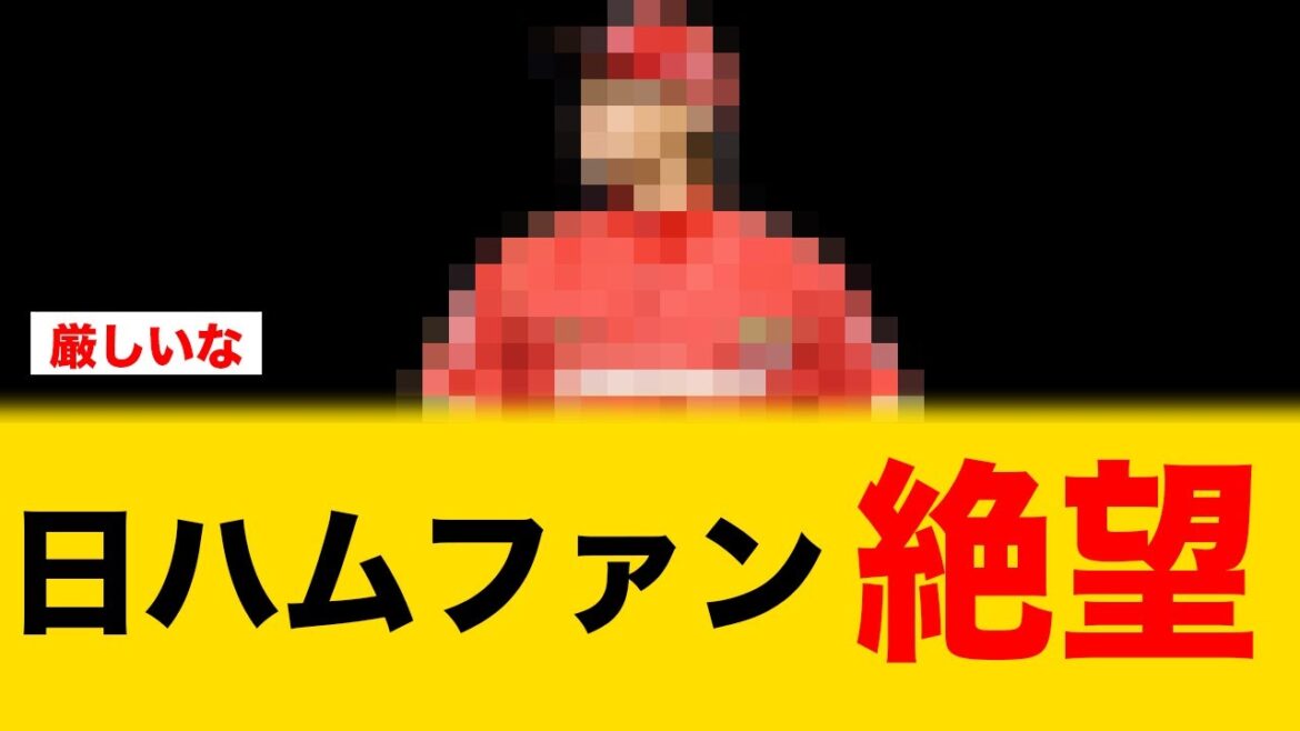 とある可能性が浮上で日ハムファン絶望する【北海道日本ハムファイターズ】