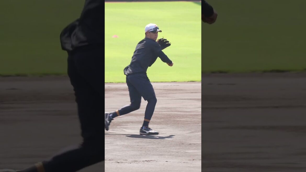 【巨人】中山礼都&村山源選手の守備練習　#shorts #baseball #sports #ジャイアンツ #巨人 #プロ野球