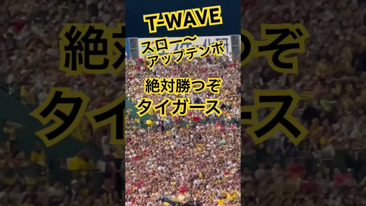 #twave阪神 #阪神チャンステーマ #阪神チャンスマーチ #阪神タイガース #阪神甲子園球場 #阪神応援 #阪神応援歌 #hanshintigers #甲子園 #阪神 #クライマックスシリーズ