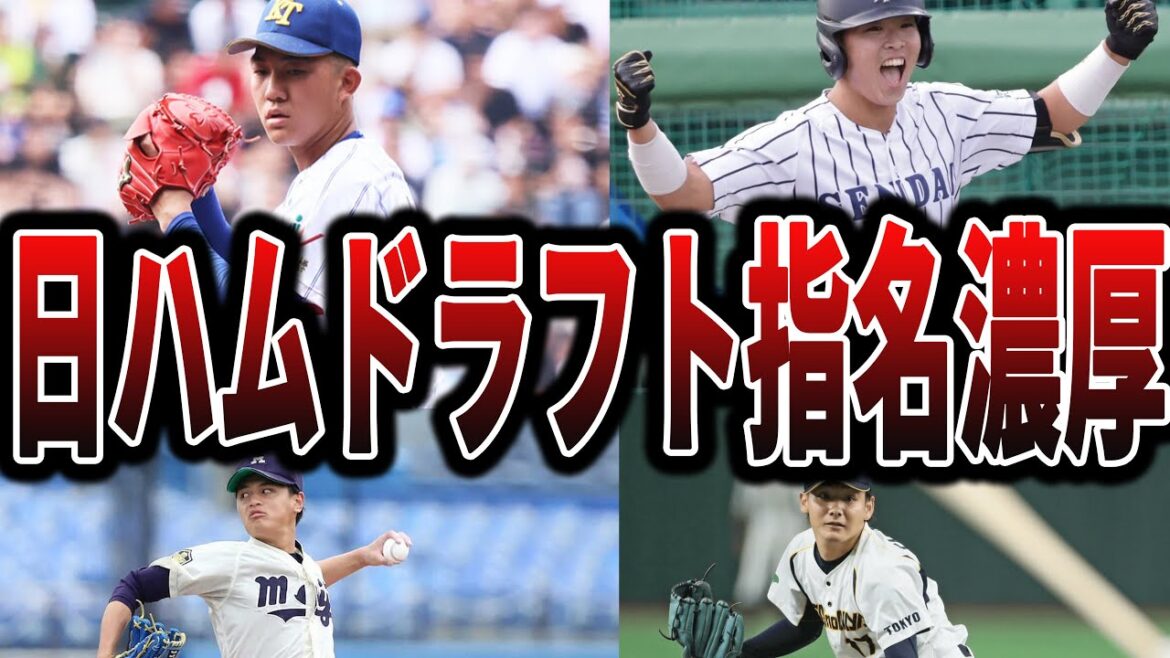 【ファイターズ】今年のドラフトで日ハムが指名しそうな選手たち