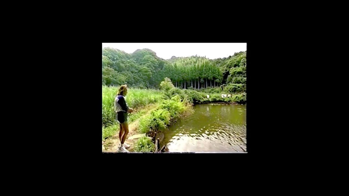 伝説の神回 バス釣りレジェンド村田基プロのバス釣り アンタレス初登場 真夏の釣り#バス釣り #釣り#fishing #シーバス #seabassfishing #神回