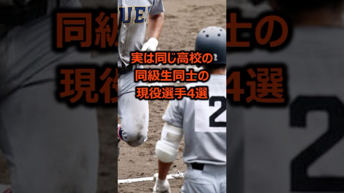 実は同じ高校の同級生同士の現役選手4選 #プロ野球 #野球雑学 実は同じ高校の同級生同士の現役選手4選 #プロ野球 #野球雑学