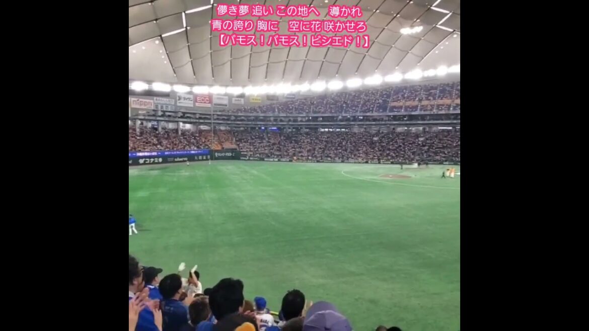 20250823　試合前から流れる【ﾀﾞﾔﾝ･ﾋﾞｼｴﾄﾞ 応援歌】　#shorts　横浜DeNAﾍﾞｲｽﾀｰｽﾞ@東京ﾄﾞｰﾑ･外野ﾚﾌﾄ