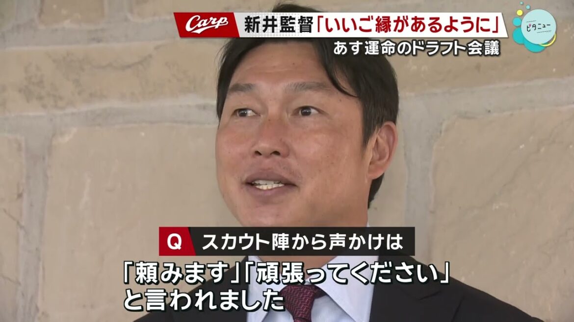 【ドラフト前日】Carp新井監督が意気込み「いいご縁があるように」｜立石正広｜勝ちグセ｜カープ