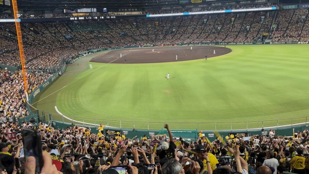 【高音質】藤川登場曲で登場「岩崎優のリンドバーグ」2025年9月7日阪神優勝決定試合