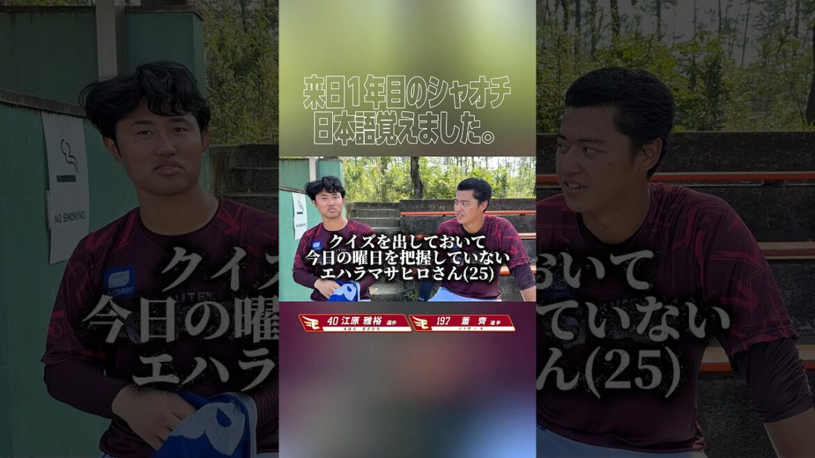 【日本語って難しい】江原先生とチーくんの日本語講座👨‍🏫🇯🇵