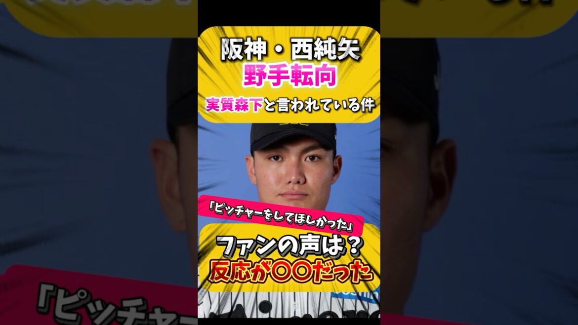 阪神・西純矢野手転向…実質森下と言われている件