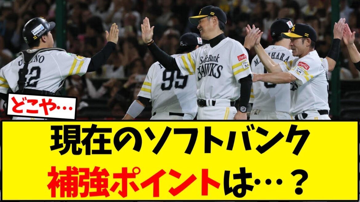 【ソフトバンク】現在のホークスの補強ポイントは…？【野球反応集】