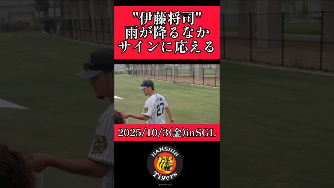 【阪神】"伊藤将司"雨が降るなかサイン対応！ #阪神 #阪神タイガース #伊藤将司 #shorts