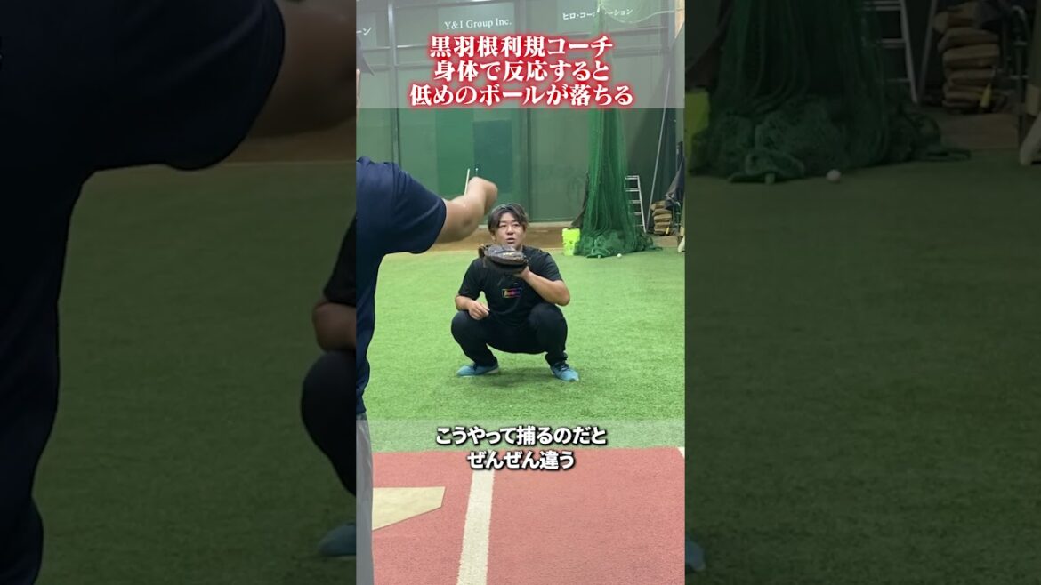身体で反応すると低めのボールが落ちる👀#黒羽根利規  #野球 #大下佑馬