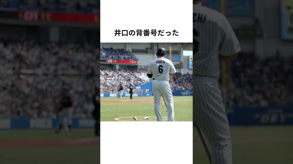 衝撃の展開?!井口資仁引退試合に関する雑学#千葉ロッテマリーンズ #プロ野球 #shorts 衝撃の展開?!井口資仁引退試合に関する雑学#千葉ロッテマリーンズ #プロ野球 #shorts
