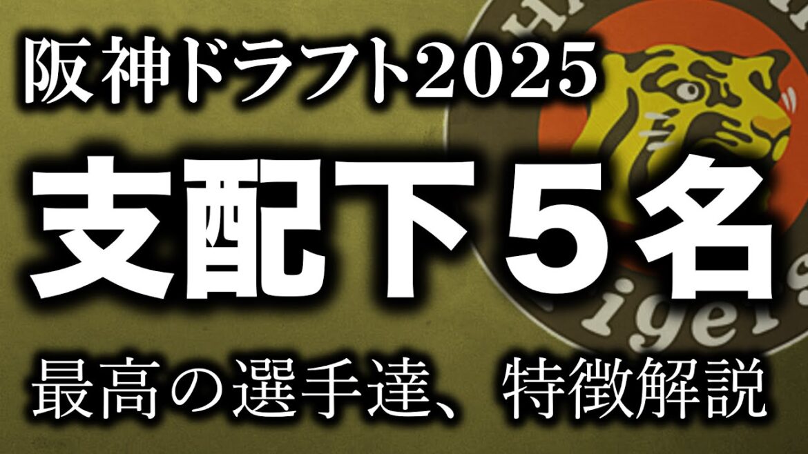 阪神ドラフト支配下指名５名を徹底解説/最高の選手を指名出来ました【阪神タイガース】