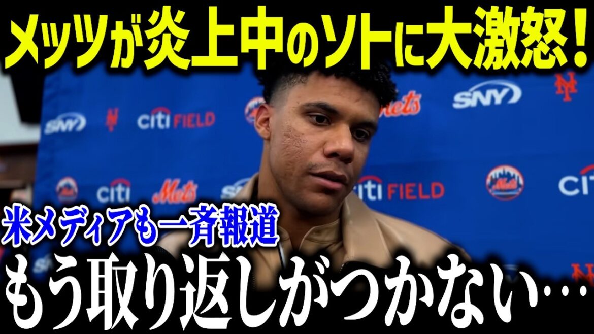 【大谷翔平】ソトがPS敗退後にバカンスで大炎上!「ショウヘイにするべきだった…」メッツオーナーも大激怒の真相とは?【海外の反応/MLB/メジャー/野球】 【大谷翔平】ソトがPS敗退後にバカンスで大炎上!「ショウヘイにするべきだった…」メッツオーナーも大激怒の真相とは?【海外の反応/MLB/メジャー/野球】