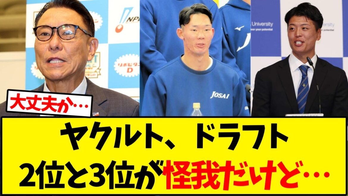 ヤクルト、ドラフト2位靭帯損傷、3位疲労骨折←これ【野球反応集】