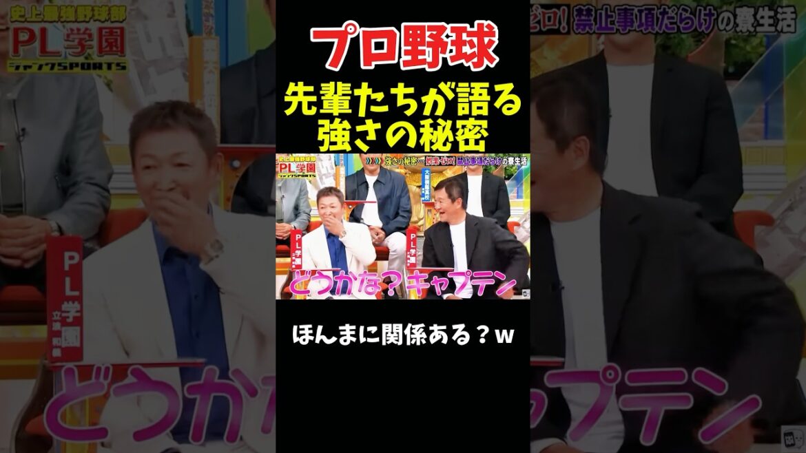 先輩が語るPL学院の強さの秘密 #npb #野球 #プロ野球 #おもしろ #面白い #おもしろ動画 #面白い動画 #ダウンタウン #浜田雅功 #阪神タイガース 先輩が語るPL学院の強さの秘密 #npb #野球 #プロ野球 #おもしろ #面白い #おもしろ動画 #面白い動画 #ダウンタウン #浜田雅功 #阪神タイガース