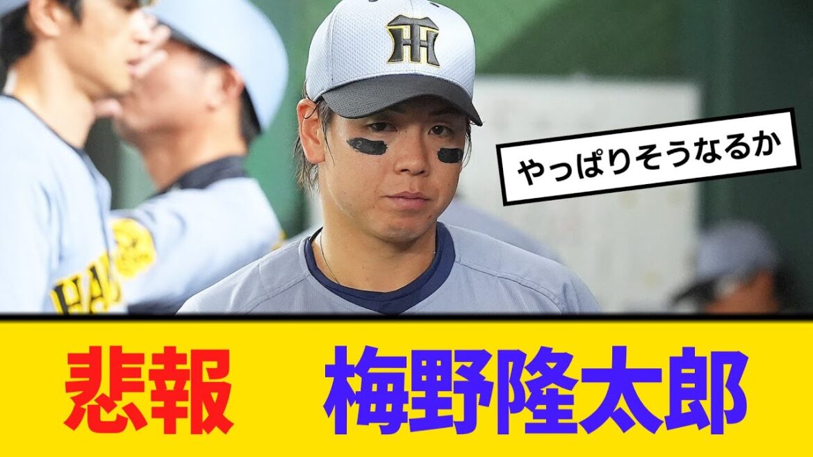 悲報　梅野隆太郎、外される　開幕からのコンビ解消　【ネットの反応】【反応集】