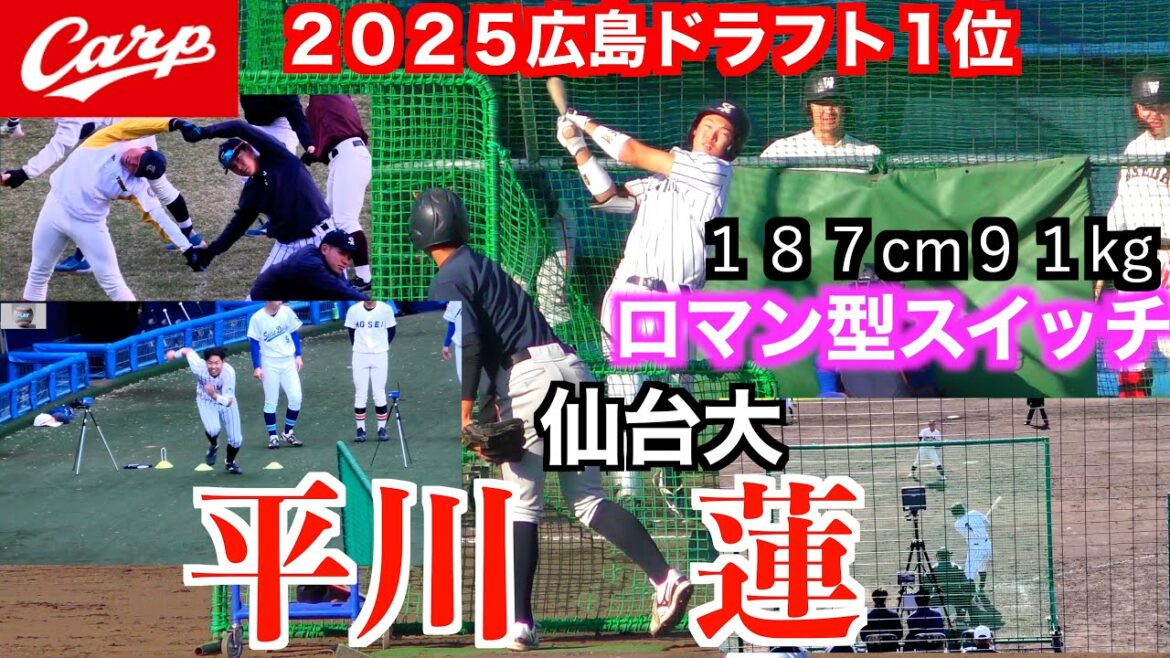 【２０２５広島東洋カープドラフト１位】平川蓮（札幌国際情報→仙台大）２０２４侍ジャパン大学代表候補強化合宿でのプレー集！新井監督から「無限の可能性がある」と評される。