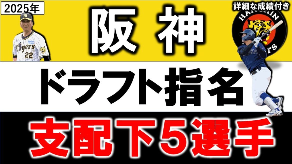 阪神タイガース　２０２５年ドラフト指名選手一覧　阪神支配下指名選手５名のプロフィール&成績をいち早く紹介！【立石 正広】【谷端 将伍】 【岡城 快生】 【早瀬 朔】 【能登 嵩都】