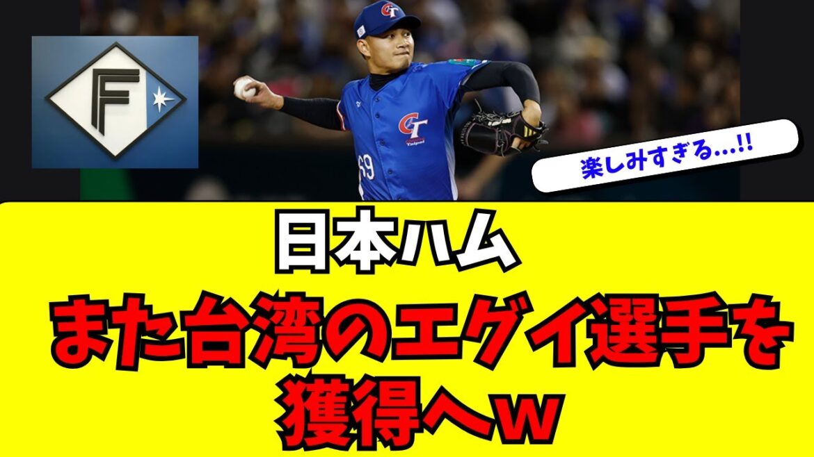 【日本ハム】また台湾のエグい至宝を獲得へｗｗ【徐若熙】