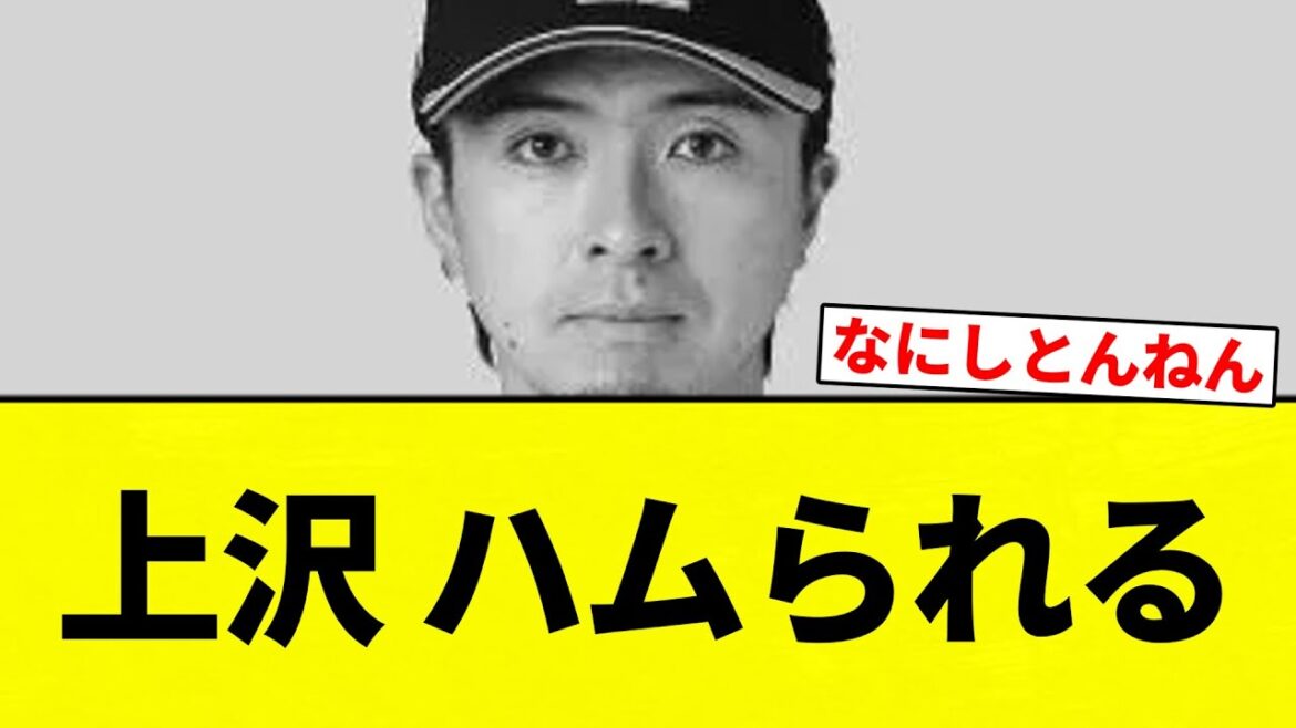 【味方に開示やな】上沢 ハムられる【プロ野球反応集】【2chスレ】【なんG】 【味方に開示やな】上沢 ハムられる【プロ野球反応集】【2chスレ】【なんG】